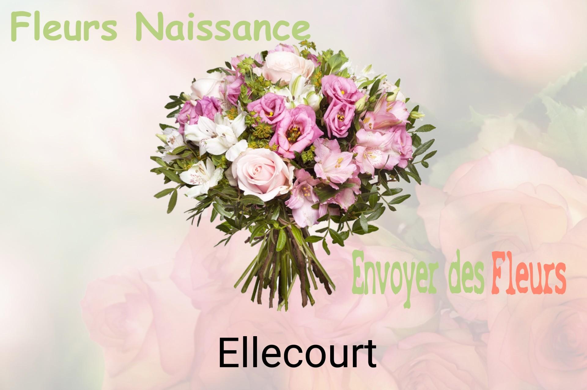 Bouquet de fleurs de naissance livré à Ellecourt